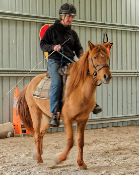 https://lemis.nyc3.digitaloceanspaces.com/yvonne/Photos/20210423/small/riding-19.jpeg