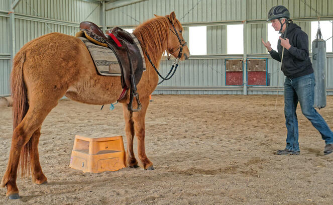 https://lemis.nyc3.digitaloceanspaces.com/yvonne/Photos/20210423/small/riding-2.jpeg