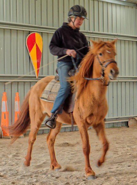 https://lemis.nyc3.digitaloceanspaces.com/yvonne/Photos/20210423/small/riding-20.jpeg