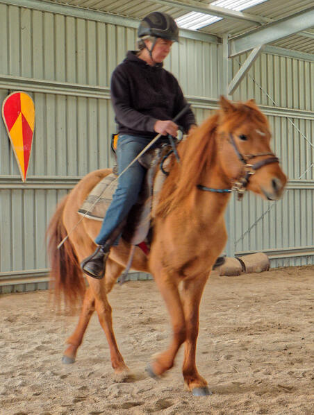 https://lemis.nyc3.digitaloceanspaces.com/yvonne/Photos/20210423/small/riding-21.jpeg