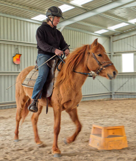 https://lemis.nyc3.digitaloceanspaces.com/yvonne/Photos/20210423/small/riding-22.jpeg