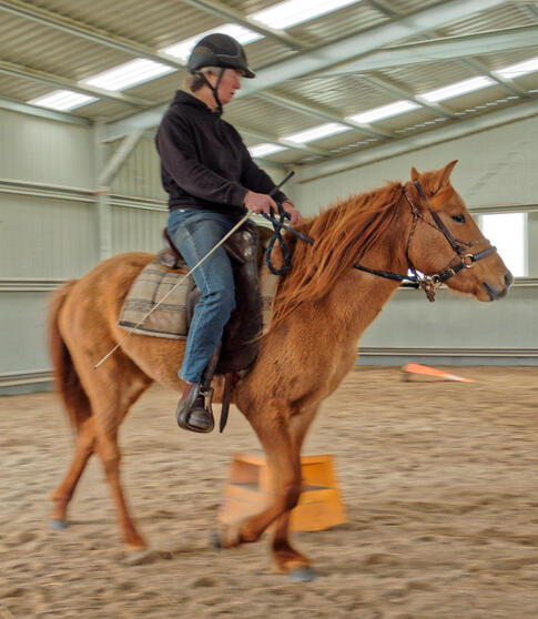 https://lemis.nyc3.digitaloceanspaces.com/yvonne/Photos/20210423/small/riding-23.jpeg