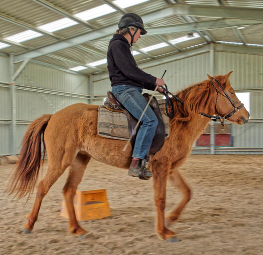 https://lemis.nyc3.digitaloceanspaces.com/yvonne/Photos/20210423/small/riding-24.jpeg
