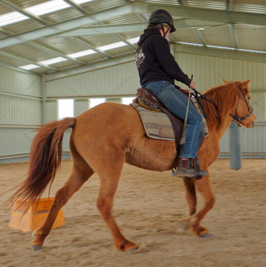 https://lemis.nyc3.digitaloceanspaces.com/yvonne/Photos/20210423/small/riding-25.jpeg