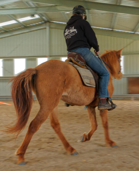 https://lemis.nyc3.digitaloceanspaces.com/yvonne/Photos/20210423/small/riding-26.jpeg