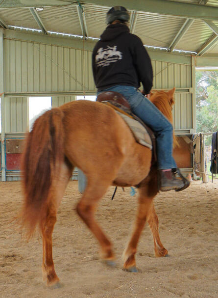 https://lemis.nyc3.digitaloceanspaces.com/yvonne/Photos/20210423/small/riding-27.jpeg