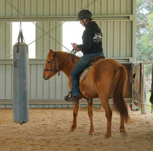 https://lemis.nyc3.digitaloceanspaces.com/yvonne/Photos/20210423/small/riding-28.jpeg