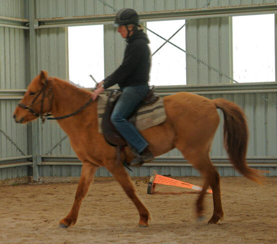 https://lemis.nyc3.digitaloceanspaces.com/yvonne/Photos/20210423/small/riding-30.jpeg