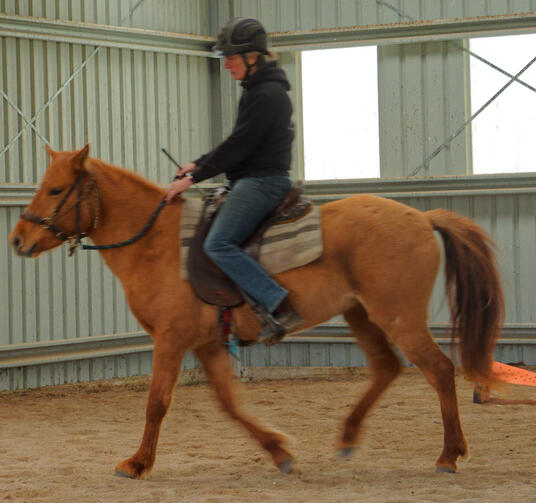 https://lemis.nyc3.digitaloceanspaces.com/yvonne/Photos/20210423/small/riding-31.jpeg