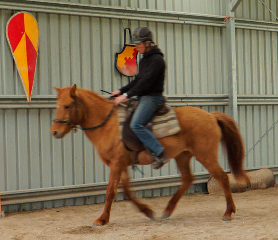 https://lemis.nyc3.digitaloceanspaces.com/yvonne/Photos/20210423/small/riding-32.jpeg