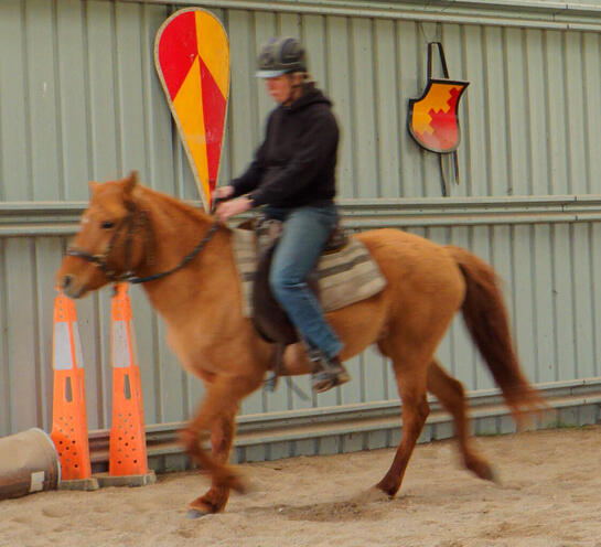 https://lemis.nyc3.digitaloceanspaces.com/yvonne/Photos/20210423/small/riding-33.jpeg