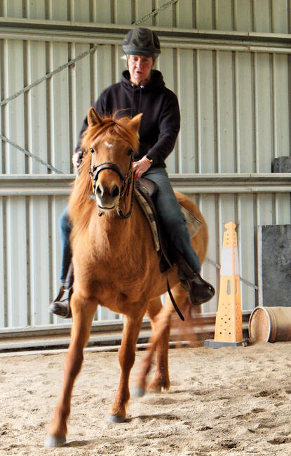 https://lemis.nyc3.digitaloceanspaces.com/yvonne/Photos/20210423/small/riding-38.jpeg