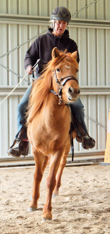 https://lemis.nyc3.digitaloceanspaces.com/yvonne/Photos/20210423/small/riding-39.jpeg