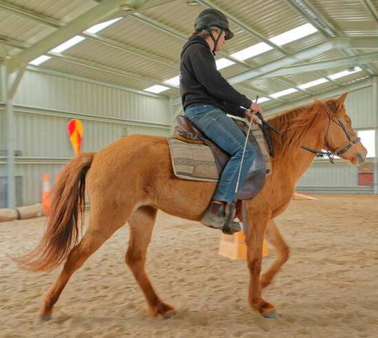 https://lemis.nyc3.digitaloceanspaces.com/yvonne/Photos/20210423/small/riding-43.jpeg