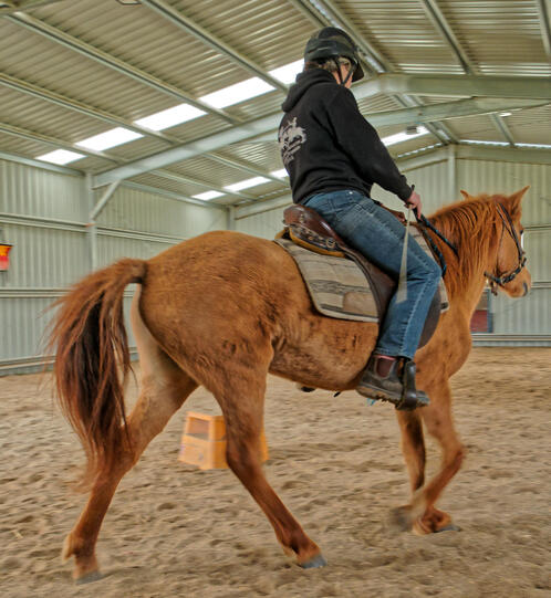 https://lemis.nyc3.digitaloceanspaces.com/yvonne/Photos/20210423/small/riding-44.jpeg