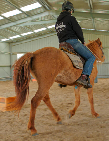 https://lemis.nyc3.digitaloceanspaces.com/yvonne/Photos/20210423/small/riding-45.jpeg