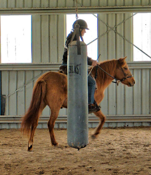 https://lemis.nyc3.digitaloceanspaces.com/yvonne/Photos/20210423/small/riding-48.jpeg