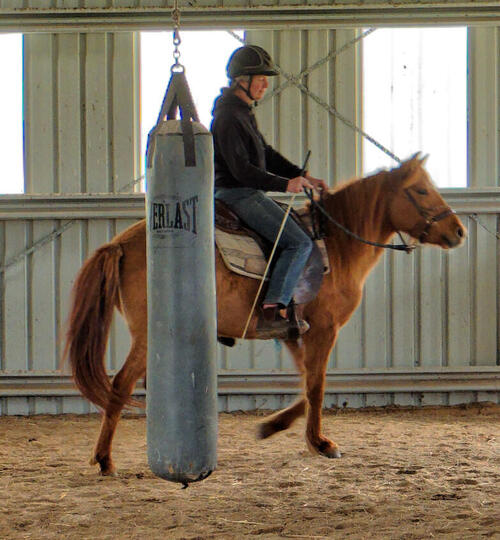 https://lemis.nyc3.digitaloceanspaces.com/yvonne/Photos/20210423/small/riding-49.jpeg