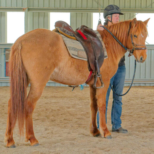 https://lemis.nyc3.digitaloceanspaces.com/yvonne/Photos/20210423/small/riding-5.jpeg