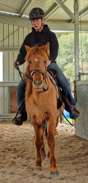 https://lemis.nyc3.digitaloceanspaces.com/yvonne/Photos/20210423/small/riding-55.jpeg