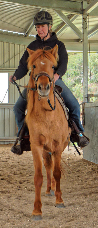 https://lemis.nyc3.digitaloceanspaces.com/yvonne/Photos/20210423/small/riding-56.jpeg