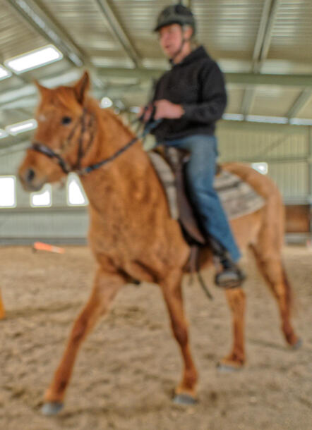 https://lemis.nyc3.digitaloceanspaces.com/yvonne/Photos/20210423/small/riding-57.jpeg