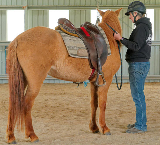 https://lemis.nyc3.digitaloceanspaces.com/yvonne/Photos/20210423/small/riding-7.jpeg