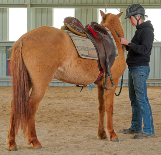 https://lemis.nyc3.digitaloceanspaces.com/yvonne/Photos/20210423/small/riding-8.jpeg