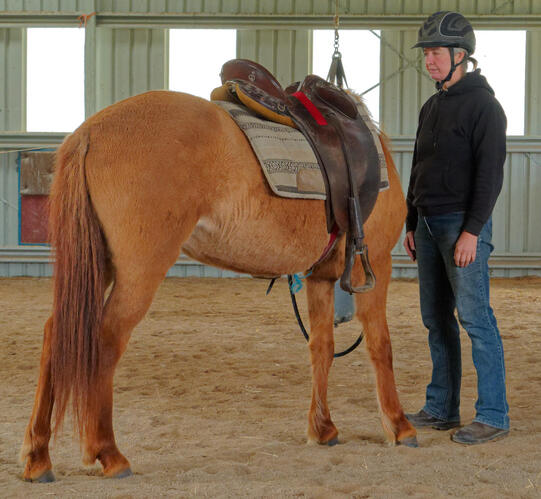 https://lemis.nyc3.digitaloceanspaces.com/yvonne/Photos/20210423/small/riding-9.jpeg