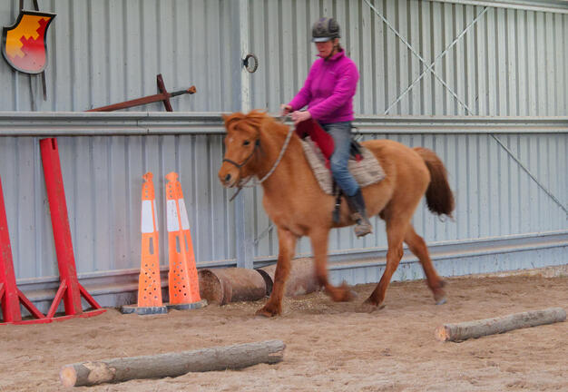 https://lemis.nyc3.digitaloceanspaces.com/yvonne/Photos/20210808/small/riding-8.jpeg