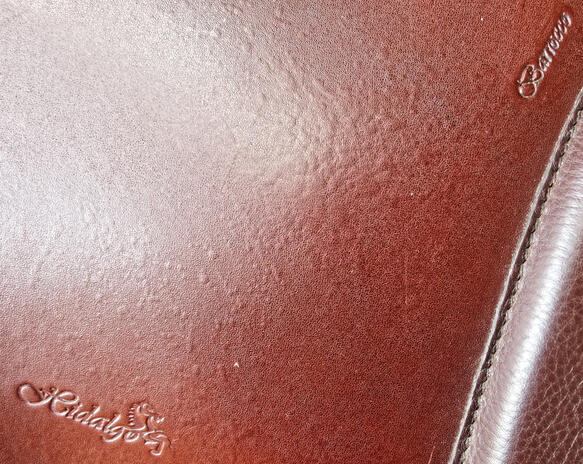 https://lemis.nyc3.digitaloceanspaces.com/yvonne/Photos/20211021/small/saddle-2.jpeg