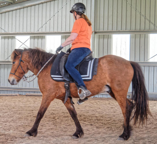 https://lemis.nyc3.digitaloceanspaces.com/yvonne/Photos/20211106/small/Melanie-rides-Eldur-20.jpeg