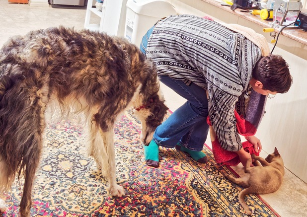 https://lemis.nyc3.digitaloceanspaces.com/yvonne/Photos/20230711/small/Yana-plays-with-Bruno-2.jpeg