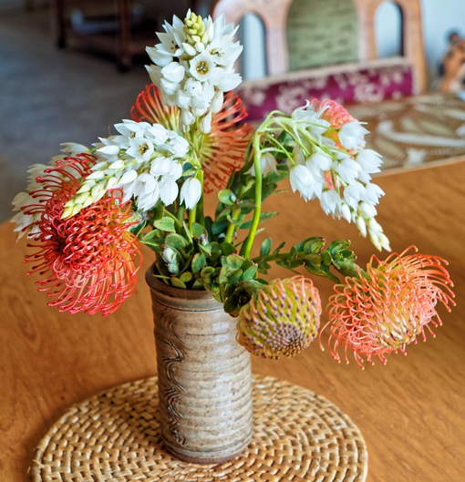 https://lemis.nyc3.digitaloceanspaces.com/yvonne/Photos/20231124/small/Flowers-2.jpeg