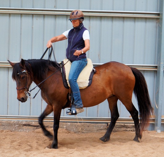 https://lemis.nyc3.digitaloceanspaces.com/yvonne/Photos/20241130/small/Anke-rides-Samba-13.jpeg