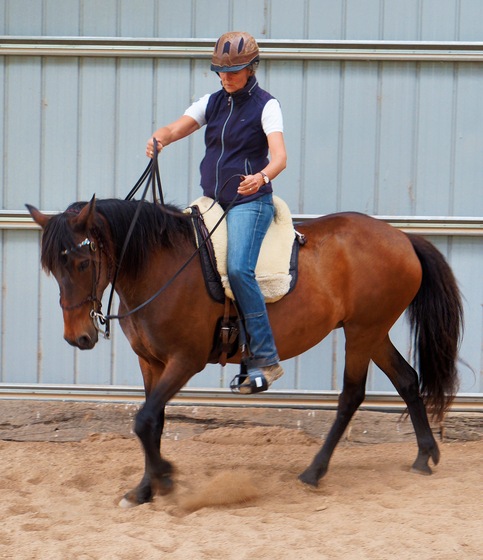 https://lemis.nyc3.digitaloceanspaces.com/yvonne/Photos/20241130/small/Anke-rides-Samba-14.jpeg
