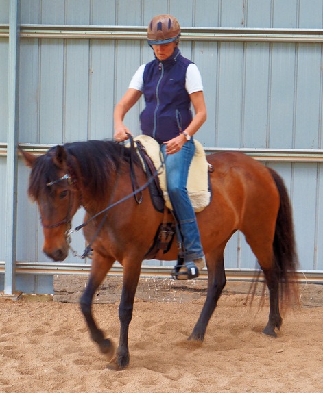 https://lemis.nyc3.digitaloceanspaces.com/yvonne/Photos/20241130/small/Anke-rides-Samba-15.jpeg