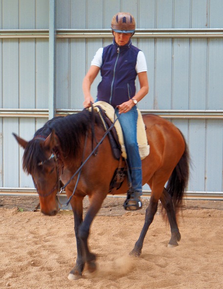https://lemis.nyc3.digitaloceanspaces.com/yvonne/Photos/20241130/small/Anke-rides-Samba-16.jpeg