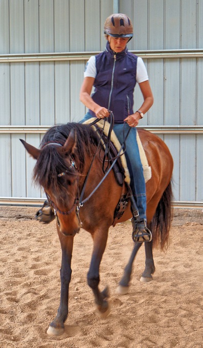https://lemis.nyc3.digitaloceanspaces.com/yvonne/Photos/20241130/small/Anke-rides-Samba-18.jpeg