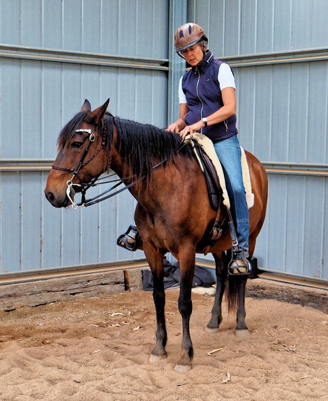 https://lemis.nyc3.digitaloceanspaces.com/yvonne/Photos/20241130/small/Anke-rides-Samba-22.jpeg