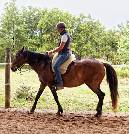 https://lemis.nyc3.digitaloceanspaces.com/yvonne/Photos/20241130/small/Anke-rides-Samba-3.jpeg