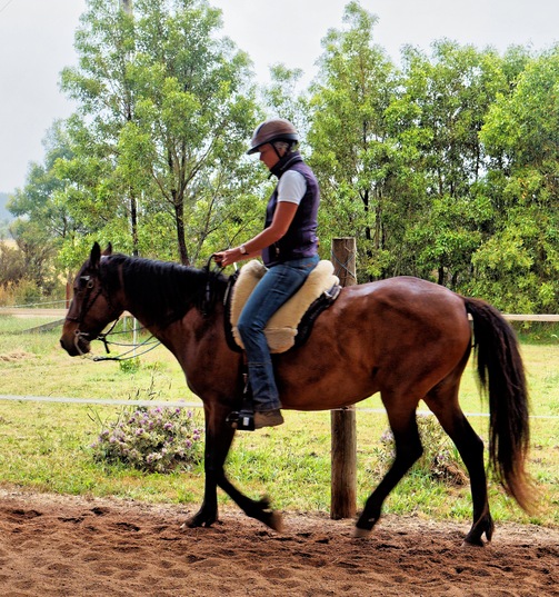https://lemis.nyc3.digitaloceanspaces.com/yvonne/Photos/20241130/small/Anke-rides-Samba-5.jpeg