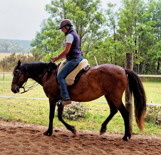 https://lemis.nyc3.digitaloceanspaces.com/yvonne/Photos/20241130/small/Anke-rides-Samba-6.jpeg