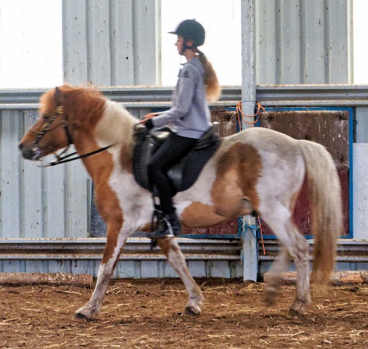 https://lemis.nyc3.digitaloceanspaces.com/yvonne/Photos/20241130/small/Kahlan-rides-Sparky-10.jpeg