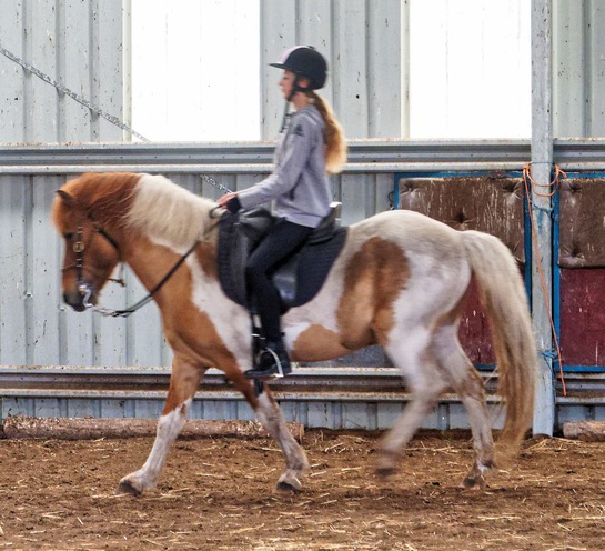 https://lemis.nyc3.digitaloceanspaces.com/yvonne/Photos/20241130/small/Kahlan-rides-Sparky-11.jpeg
