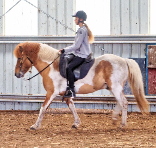 https://lemis.nyc3.digitaloceanspaces.com/yvonne/Photos/20241130/small/Kahlan-rides-Sparky-12.jpeg