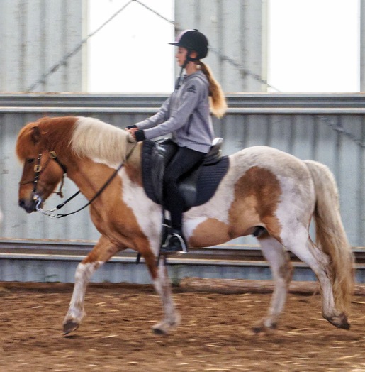 https://lemis.nyc3.digitaloceanspaces.com/yvonne/Photos/20241130/small/Kahlan-rides-Sparky-13.jpeg