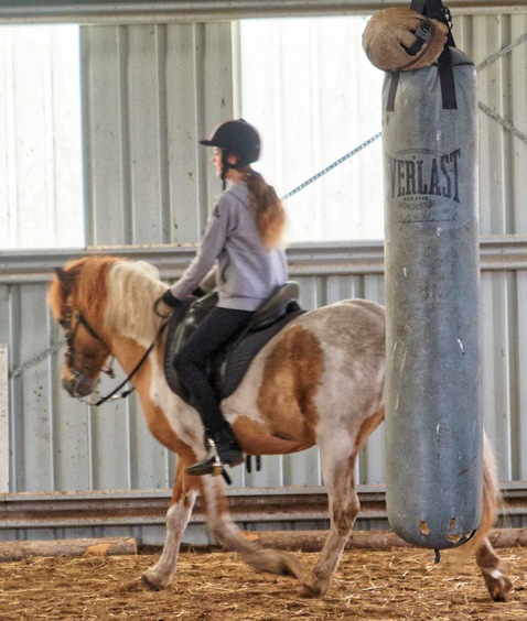 https://lemis.nyc3.digitaloceanspaces.com/yvonne/Photos/20241130/small/Kahlan-rides-Sparky-18.jpeg