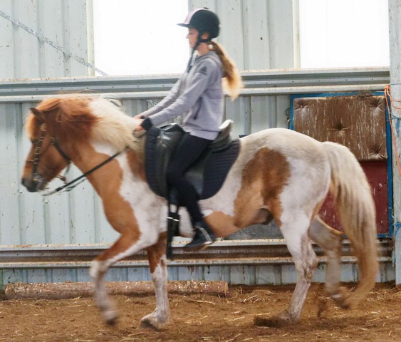 https://lemis.nyc3.digitaloceanspaces.com/yvonne/Photos/20241130/small/Kahlan-rides-Sparky-19.jpeg