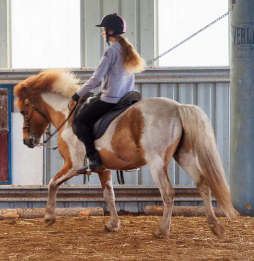 https://lemis.nyc3.digitaloceanspaces.com/yvonne/Photos/20241130/small/Kahlan-rides-Sparky-20.jpeg